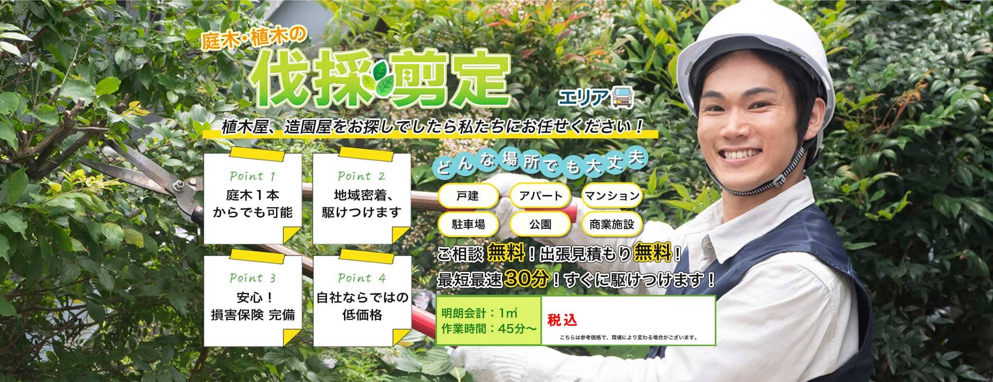 庭木・植木の伐採・剪定　植木屋、造園屋をお探しでしたら街の伐採屋さん 西東京エリアにお任せください！